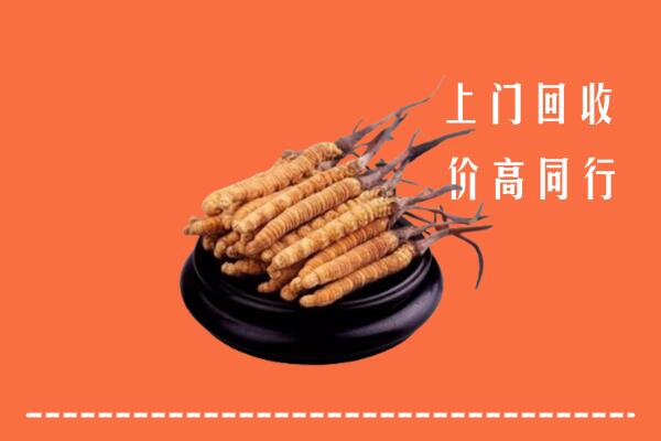 高价求购：承德回收散虫草