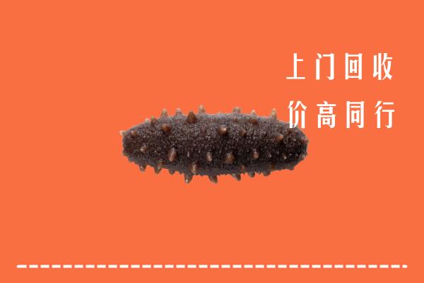 高价求购：承德回收海参